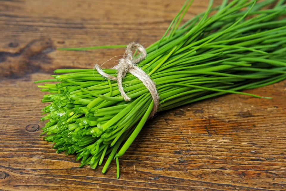 Read more about the article Pažítka – malá sestra cibule plná vitamínov