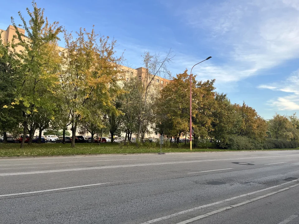 Read more about the article Venčenie „navoľno“
