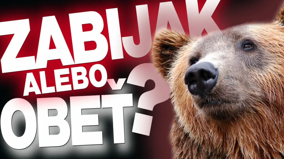 Read more about the article Zabijak alebo obeť? Videoreportáž Rasťa Ekkerta o medveďoch. S expertom, ktorý im rozumie