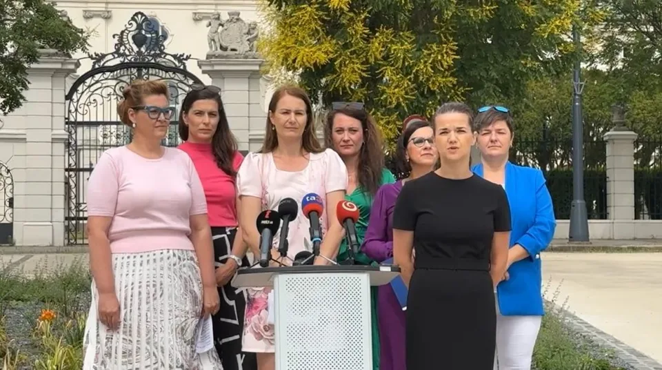 Read more about the article VIDEO: KDH presadzuje program podpory pre obete domáceho násilia