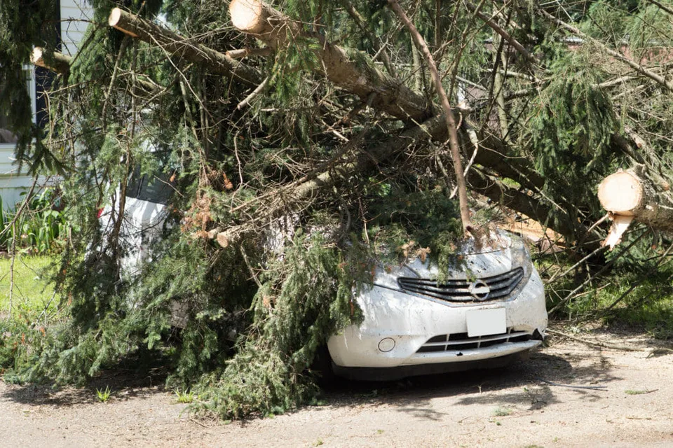 Read more about the article Počasie v Česku opäť zabíjalo: Spadol strom na auto, zomreli dvaja ľudia!