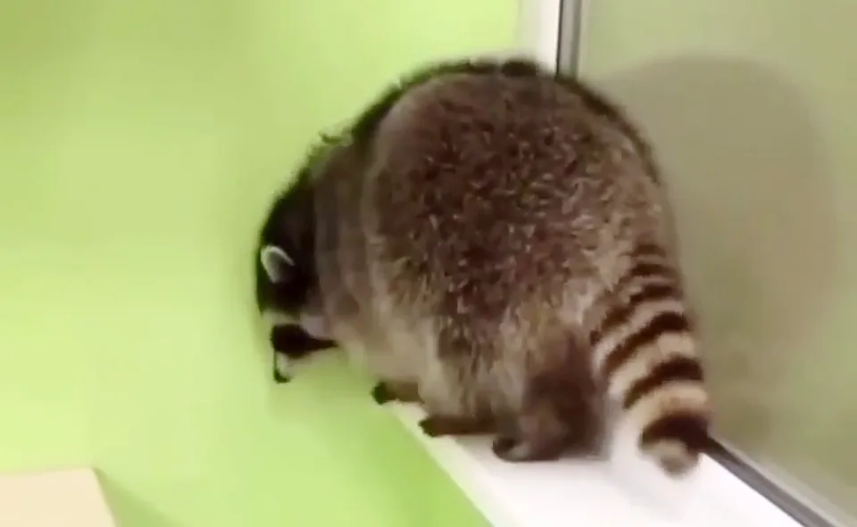 You are currently viewing Ťažký deň
