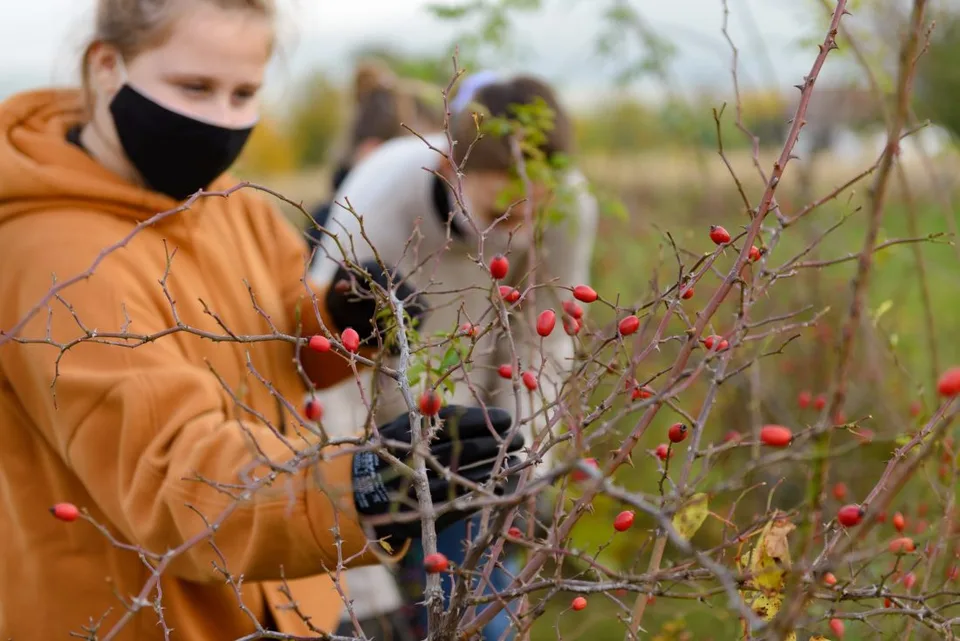 Read more about the article Začnú platiť nové pravidlá pre rúška, budú výnimky. Koho sa týkajú?