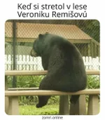 remiosva, medved, zomri