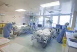 Na Slovensku minulý rok zomrelo 59.583 ľudí. Úmrtnosť medziročne klesla takmer o pätinu, no stále bola vyššia ako pred pandémiou