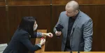 Jana Bittó Cigániková (SaS) a Milan Mazurek (nezaradený).