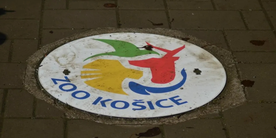 Read more about the article Od pondelka sa otvárajú maloobchody, múzeá, galérie, autoškoly, zoo i plavárne
