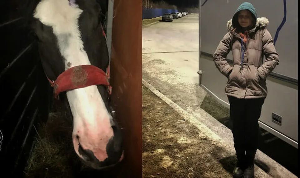 Read more about the article FOTO Na Ukrajine trpia aj zvieratá. Toto dievča zachraňovalo kone. Dva však zabili vojaci