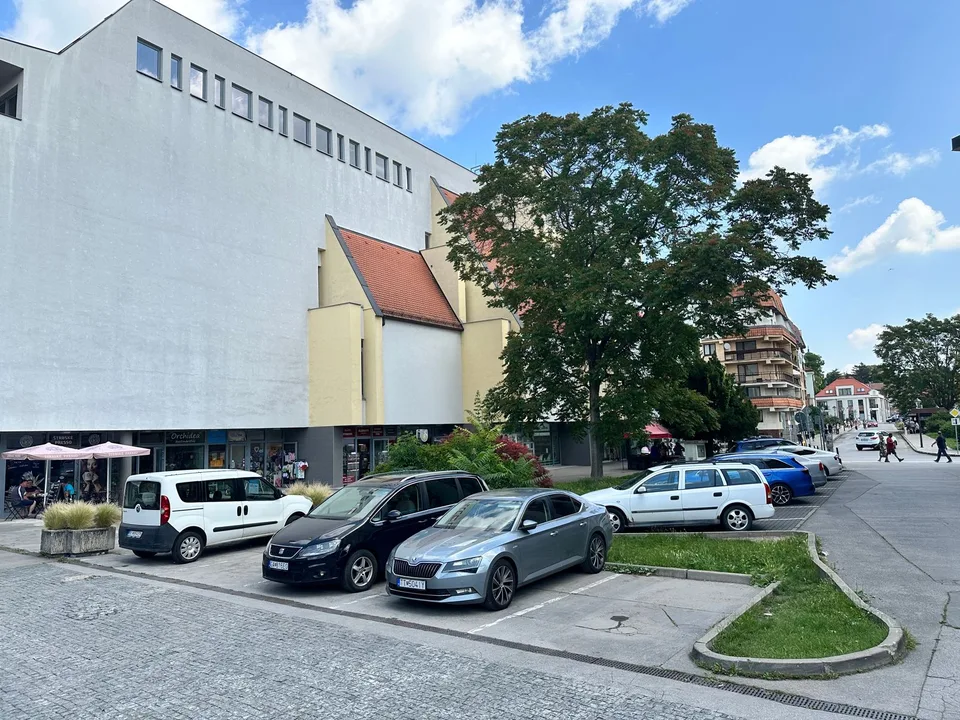 Read more about the article Ďalší holub na streche?