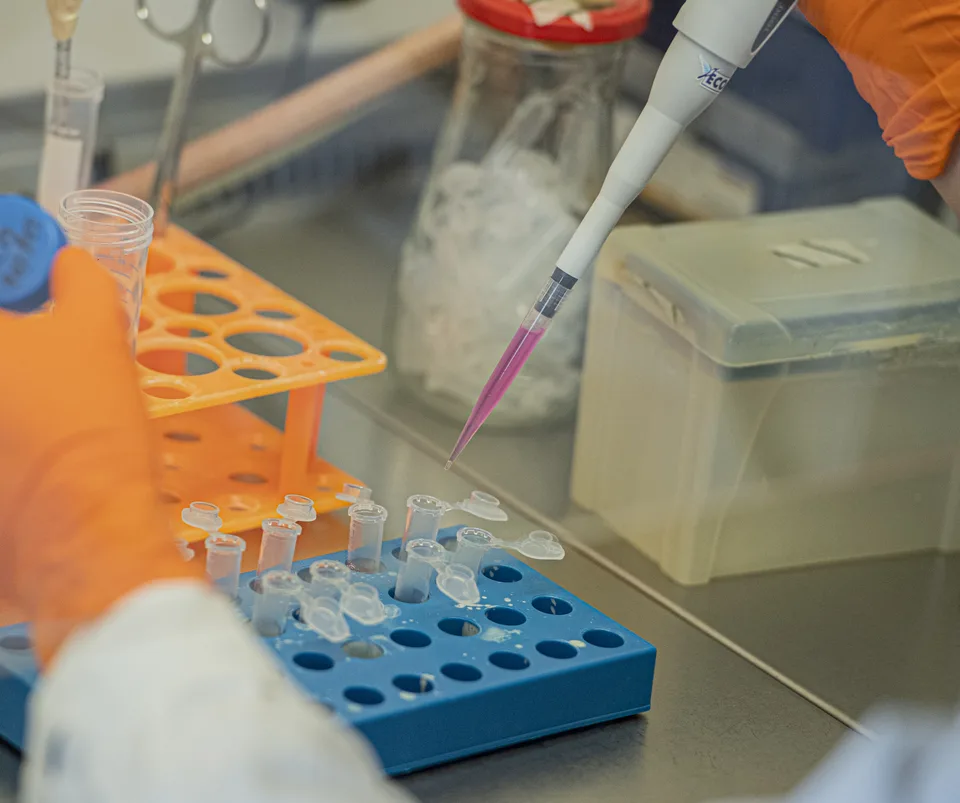 Read more about the article Znepokojujúce! Hygienici na Slovensku identifikovali nebezpečný vírus!
