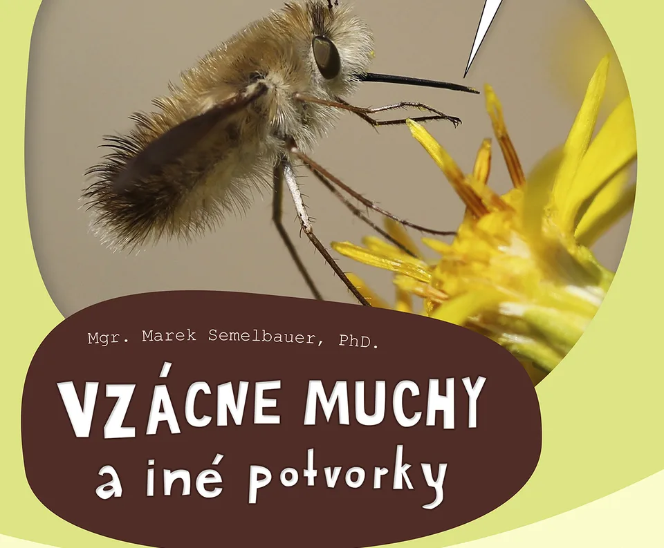 Read more about the article Vzácne muchy a iné potvorky