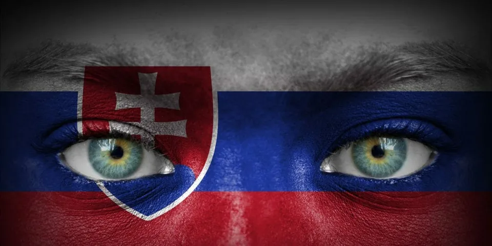 Read more about the article Ďalší kandidáti, ktorí chcú robiť slušnú politiku na Slovensku? Tu je zoznam strán, ktoré chcú registráciu!