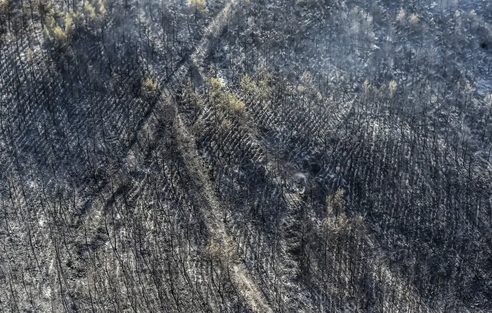 Read more about the article Turecko bojuje s lesnými požiarmi už 12. deň: Pod kontrolou nemá šesť požiarov