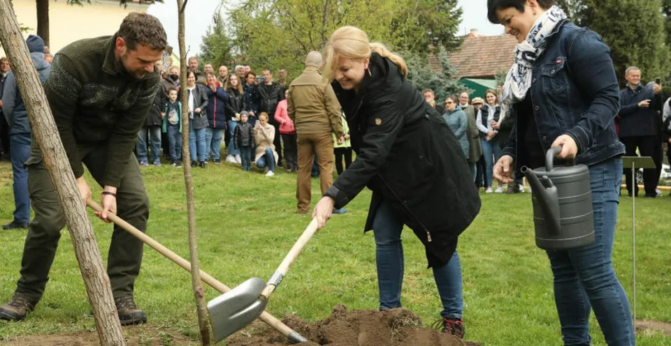 Read more about the article FOTO Čaputová s lopatou: Sadila stromy s kolegami z prezidentskej kancelárie