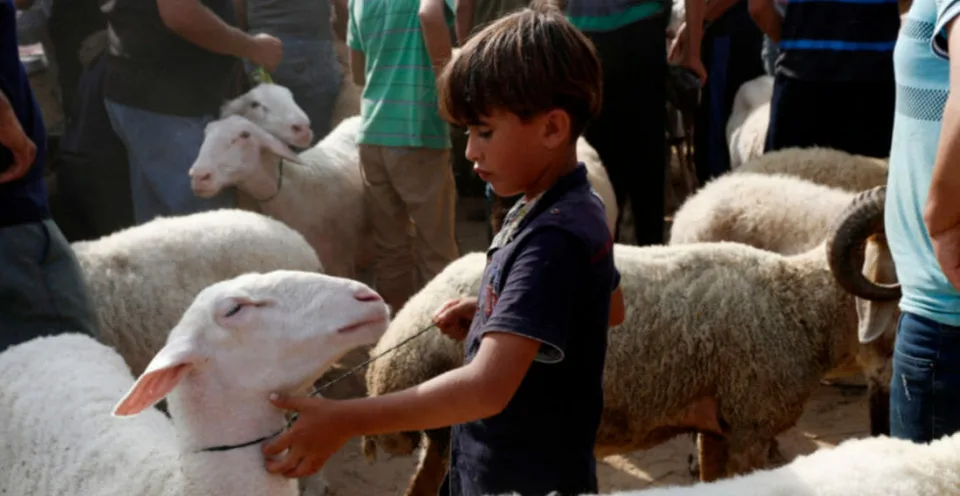 Read more about the article Zomrel 13-ročný palestínsky chlapec, strelili ho do brucha. Hamas: Je to vojnový zločin!