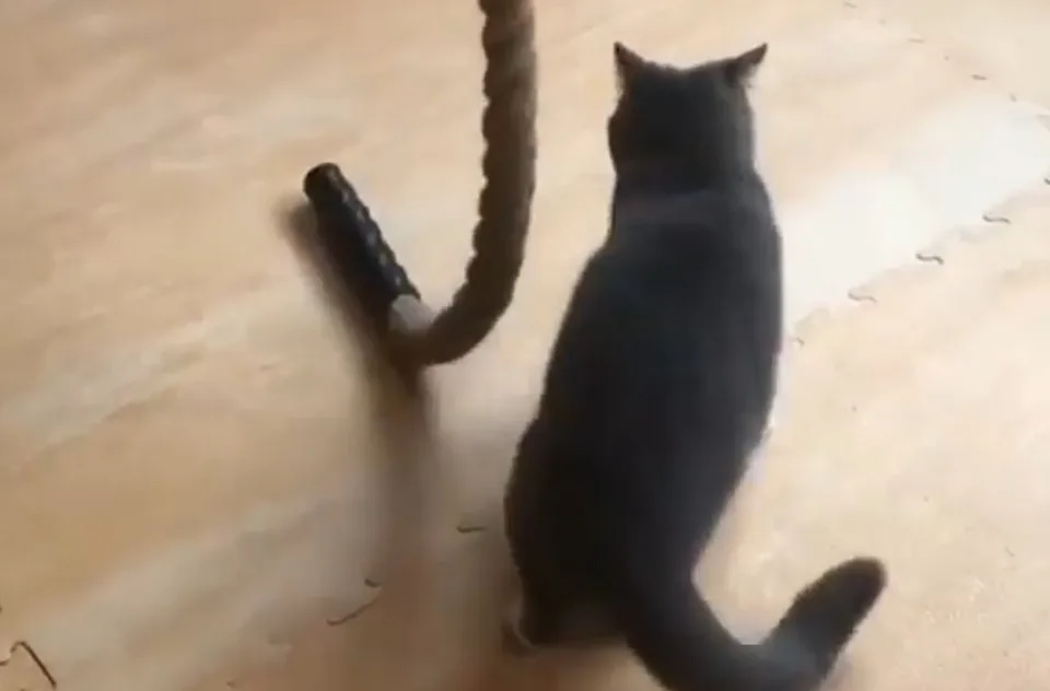 Read more about the article Na hodine telesnej