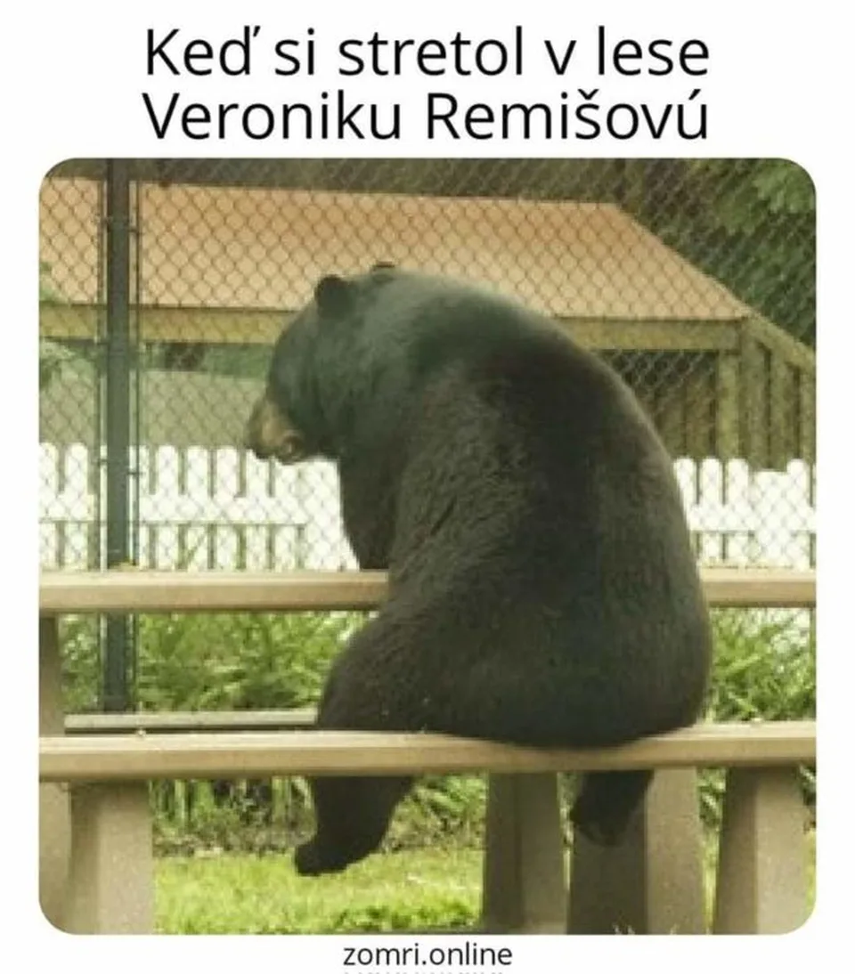 Read more about the article Ex digitálna líderka zborila internet: Remišová tvrdí, že pred ňou ušiel medveď, lebo nemal odvahu!