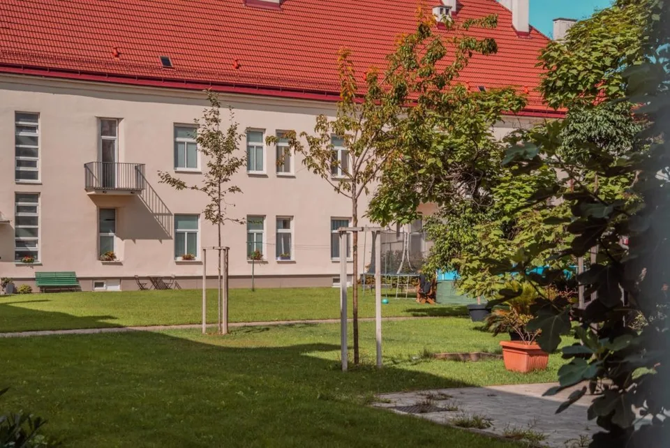 Read more about the article Trnavčania prejavili o stromy od mesta veľký záujem!