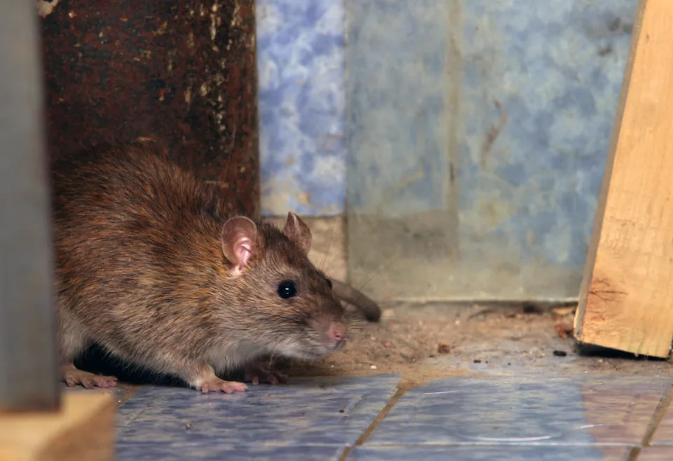 Read more about the article Zaujíma nás, čo vás zaujíma
