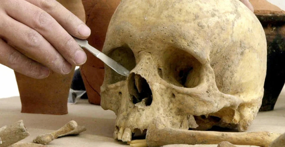 Read more about the article Českí archeológovia zostali zarazení: Objavili kostru černošky!
