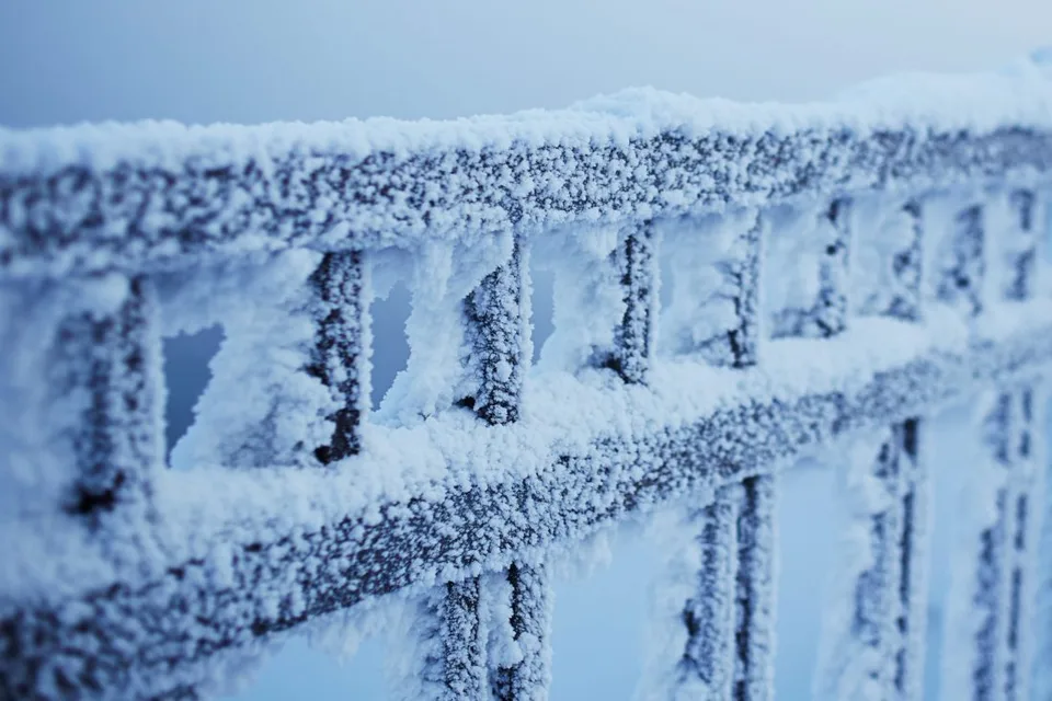 Read more about the article SHMÚ vydalo výstrahu pred mrazom: V noci môže mrznúť na väčšine Slovenska!