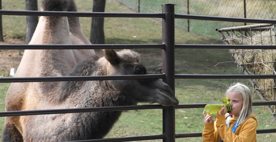 Read more about the article Tip na víkend! Bratislavská Zoo otvára svoju 65. sezónu, pripravila celovíkendový program