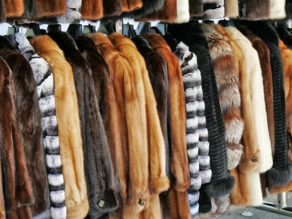 Read more about the article Zvieratá už nebudú kvôli kožušine trpieť. Luxusné značky ju vyraďujú z kolekcií