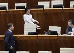 Janka Bittó Cigánikova