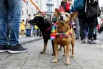 Snímka z pochodu za odsúdenie nenávisti voči LGBTI komunite v Bratislave 14. októbra 2022.