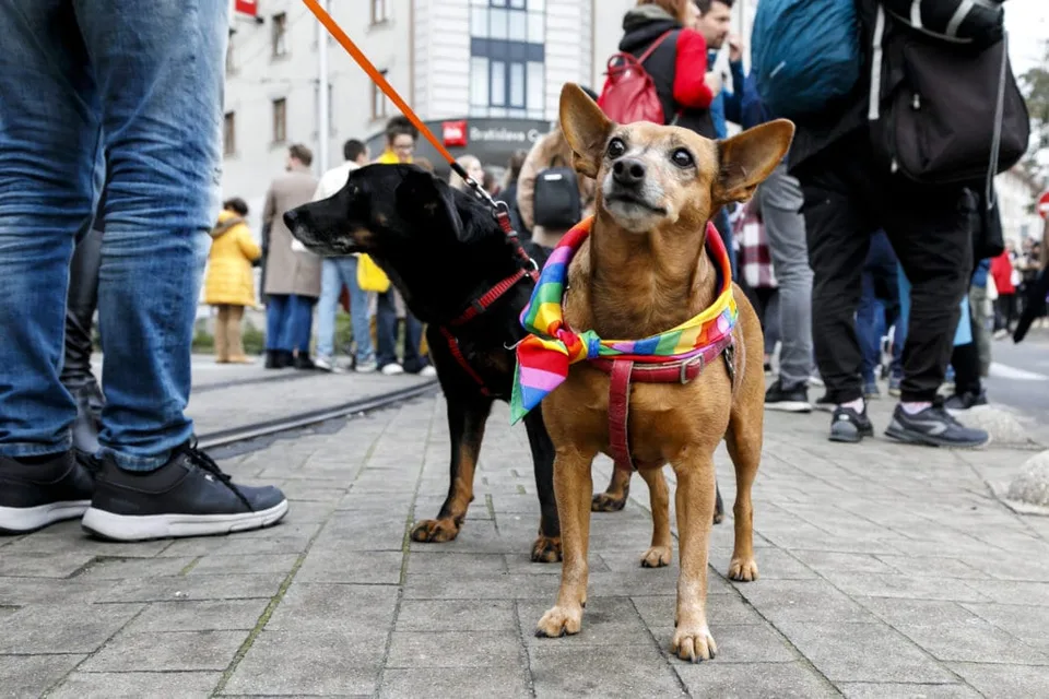 Read more about the article Americká ambasáda: Päťdesiat diplomatických misií stojí pri LGBT+ komunite na Slovensku
