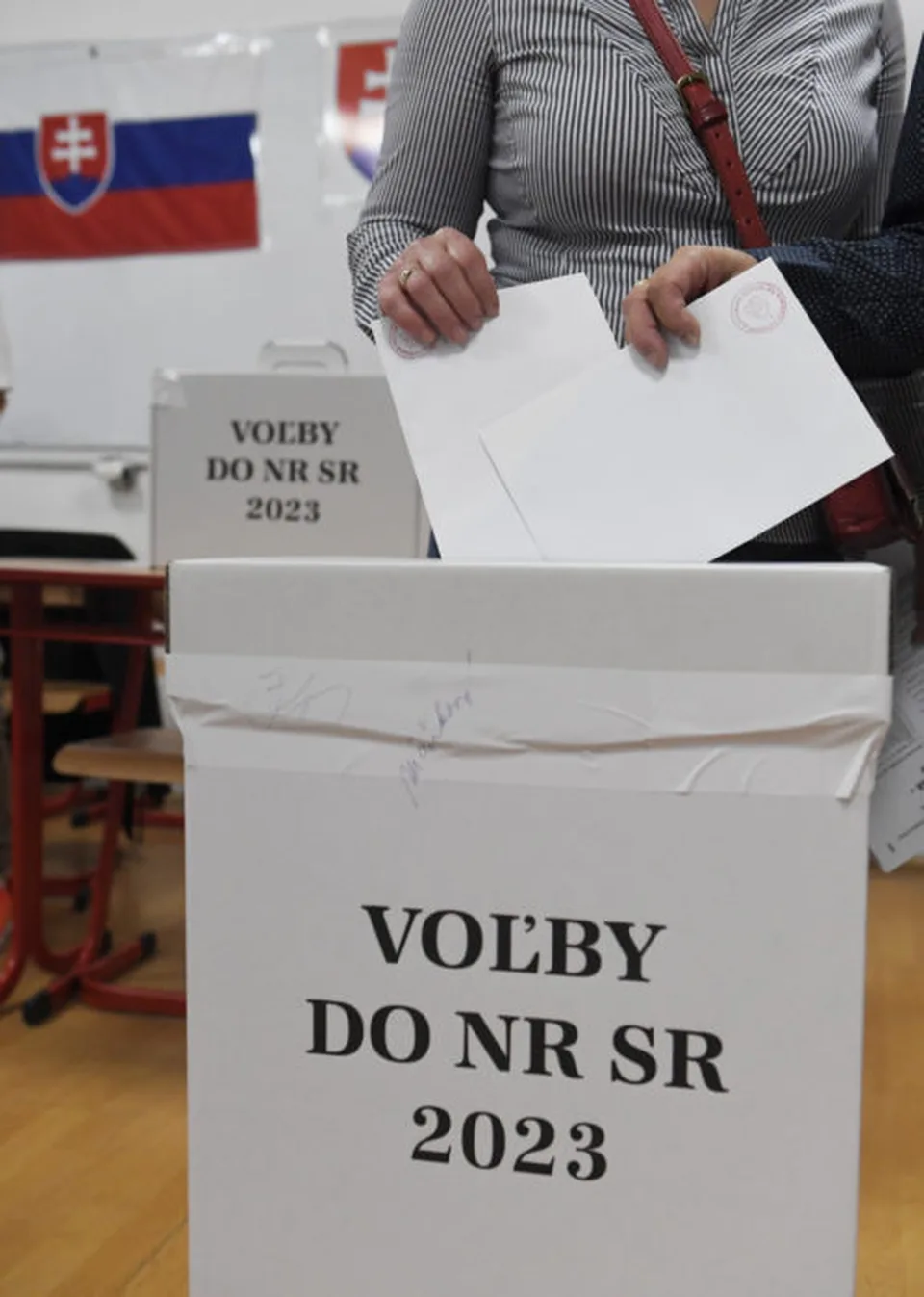 Read more about the article Zahraniční Slováci volili najčastejšie progresívcov a saskárov