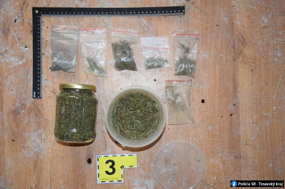 Read more about the article Polícia v byte Trnavčana zaistila marihuanu a pervitín