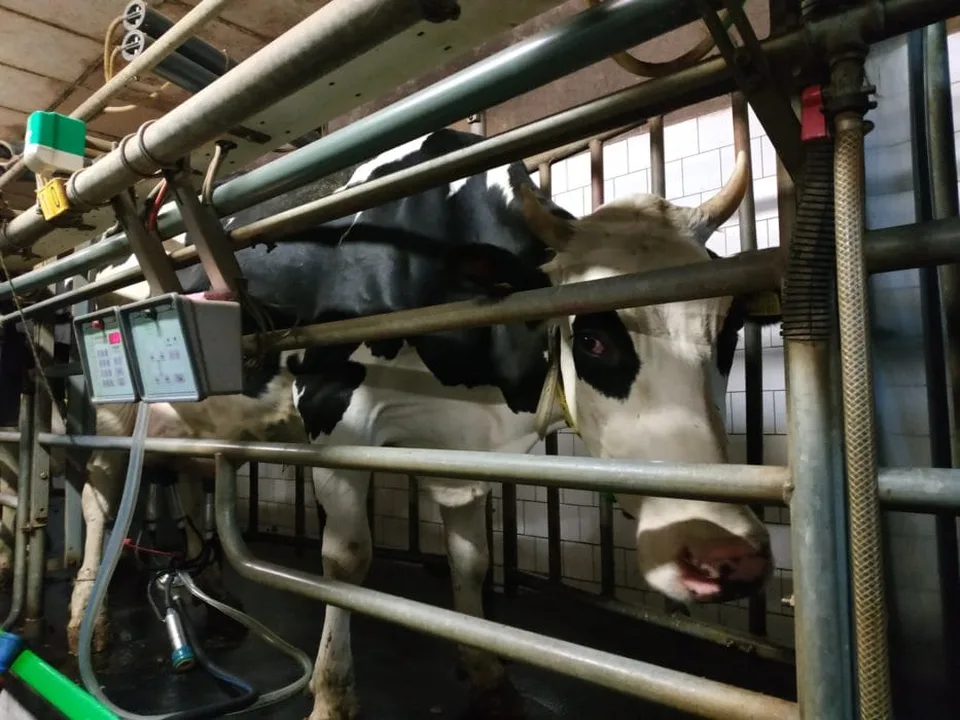 Read more about the article Farmári už stratili trpezlivosť: Chystajú celoslovenský protest poľnohospodárov