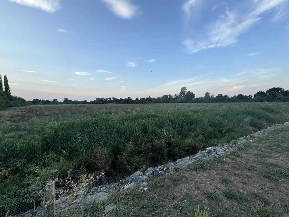 Read more about the article Vypustený rybník zarastá, podnikateľ neškoduje