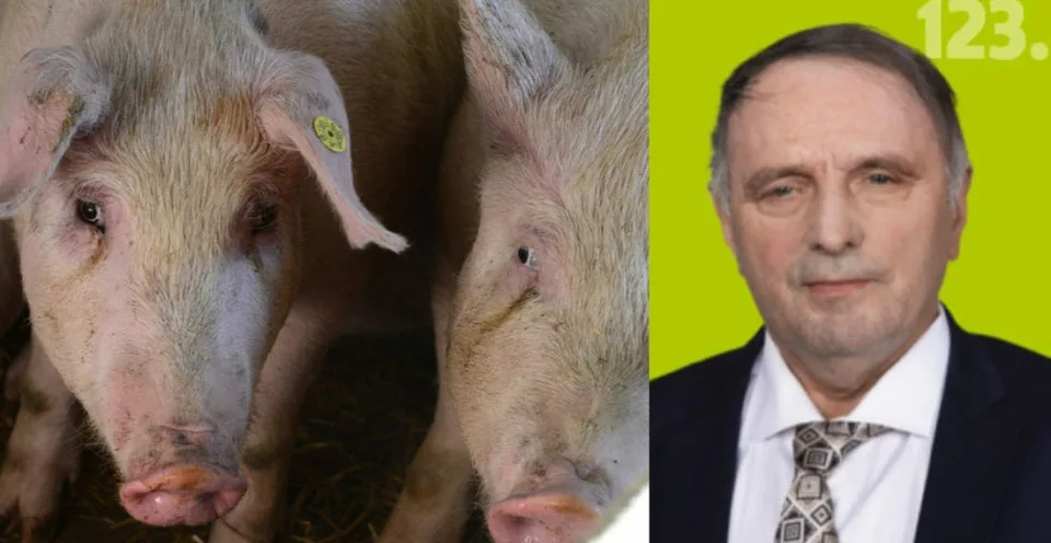 Read more about the article Škandál na pôdohospodárstve: Ďalší človek OĽANO s mastnou dotáciou na svine!