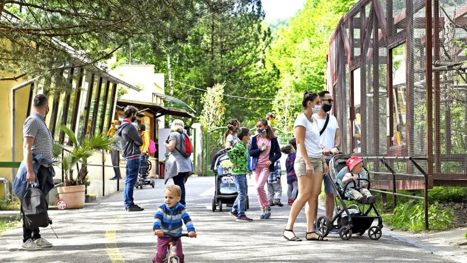 Read more about the article Košickú zoo zatvorili pre vtáčiu chrípku: Nákazu potvrdili v dvoch prípadoch