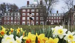 Harvard