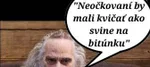 Fotokoláž novinár Peter Schutz
