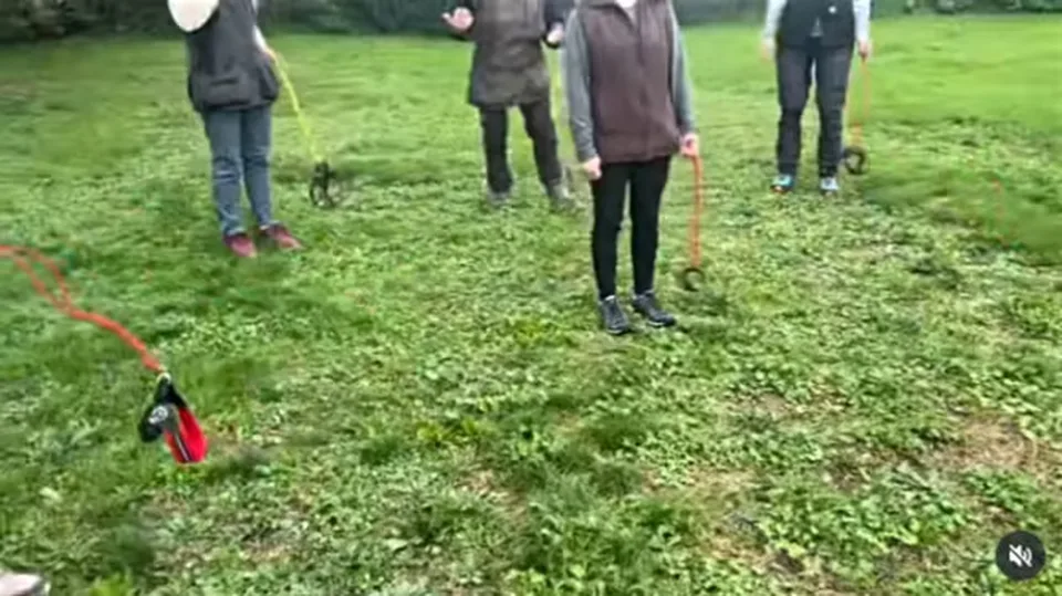 Read more about the article Po hobbyhorsingu je tu nový “šport”, volá sá hobby dogging. Neuveríte, čomu sa ľudia venujú!