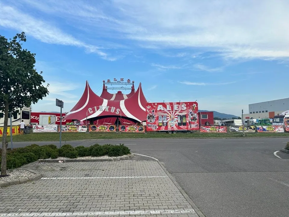 Read more about the article Trnava – cirkusofóbne mesto? 