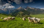 Slovensko