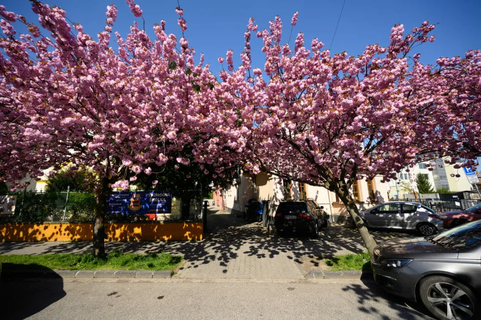 You are currently viewing Predpoveď počasia pre Slovensko na utorok 12. apríla