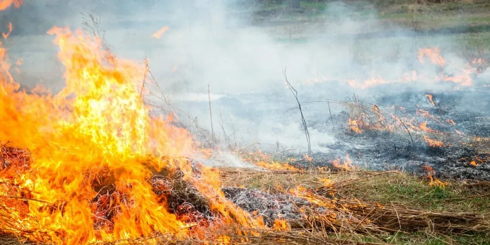 Read more about the article Hasiči bojujú s požiarmi na Sibíri a Ďalekom východe