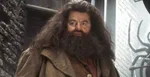 Robbie Coltrane.