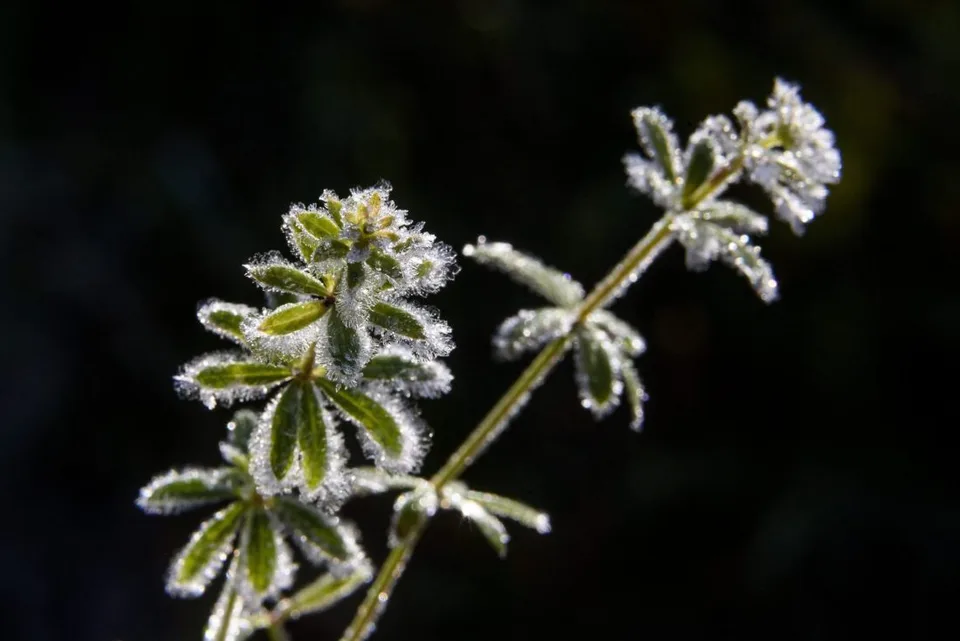 Read more about the article Mimoriadne varovanie meteorológov: V noci bude mrznúť!