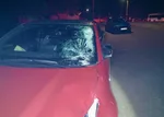 Polícia: Pri tragickej nehode zahynula 78-ročná chodkyňa
