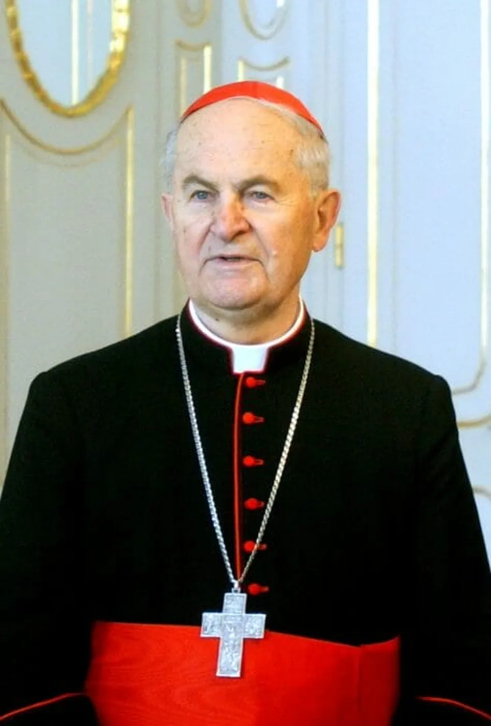 You are currently viewing Posledná rozlúčka s Tomkom bude 11.augusta