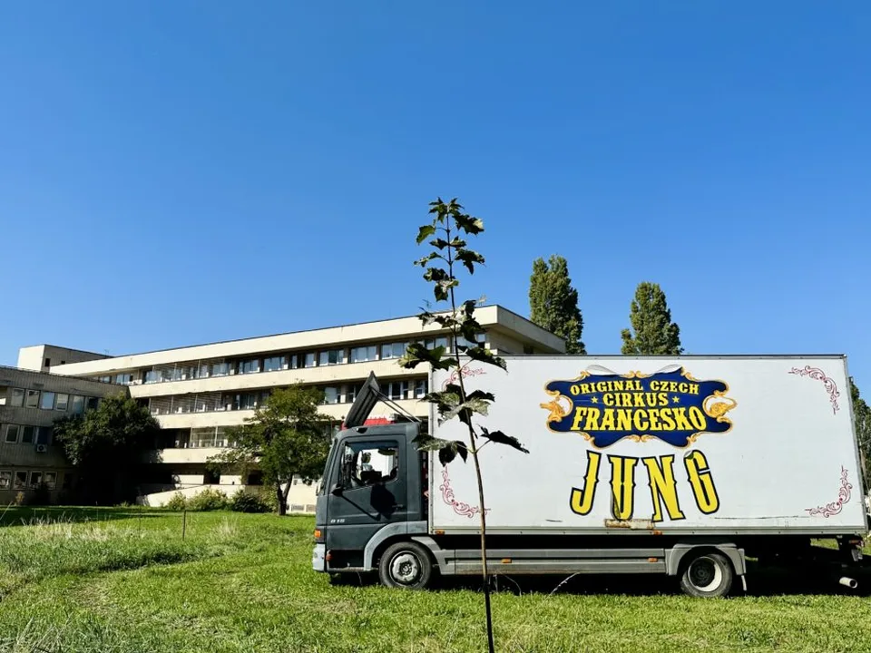Read more about the article V nemocnici vznikol hotový cirkus!
