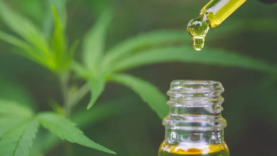 Read more about the article Odklepnuté! Kanabidiol sa vyradí zo zoznamu psychotropných látok