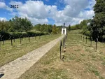 Cintorín v Ladomírovej v roku 2022